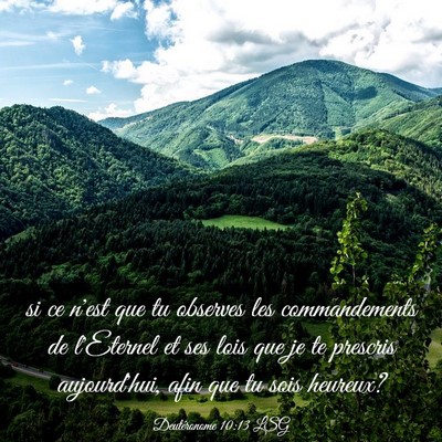 Picture 03 - Deutéronome 10:13 LSG - si ce n'est que tu observes les commandements de - Bible Verse Picture