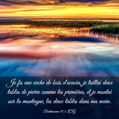Picture 03 - Deutéronome 10:3 LSG - Je fis une arche de bois d'acacia, je taillai - Bible Verse Picture
