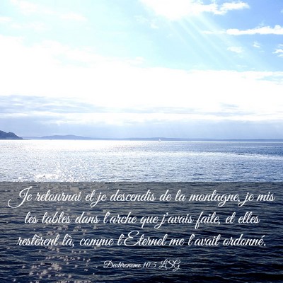 Picture 03 - Deutéronome 10:5 LSG - Je retournai et je descendis de la montagne, je - Bible Verse Picture
