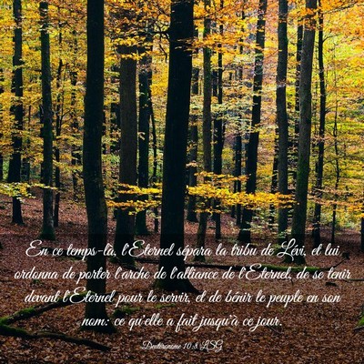 Picture 03 - Deutéronome 10:8 LSG - En ce temps-là, l'Eternel sépara la tribu de - Bible Verse Picture