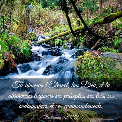 Picture 03 - Deutéronome 11:1 LSG - Tu aimeras l'Eternel, ton Dieu, et tu observeras - Bible Verse Picture