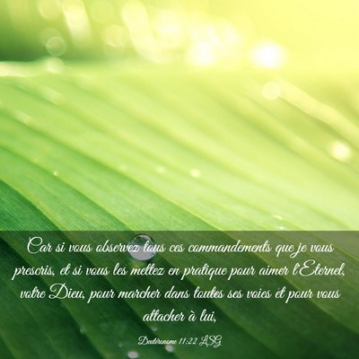 Picture 03 - Deutéronome 11:22 LSG - Car si vous observez tous ces commandements que - Bible Verse Picture