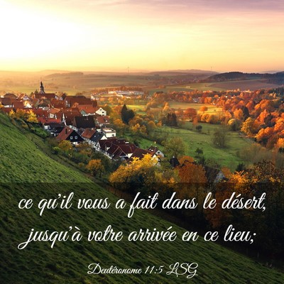 Picture 03 - Deutéronome 11:5 LSG - ce qu'il vous a fait dans le désert, jusqu'à - Bible Verse Picture