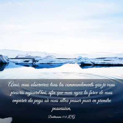 Picture 03 - Deutéronome 11:8 LSG - Ainsi, vous observerez tous les commandements que - Bible Verse Picture