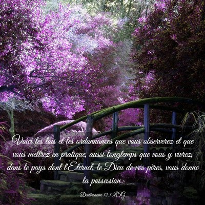Picture 03 - Deutéronome 12:1 LSG - Voici les lois et les ordonnances que vous - Bible Verse Picture