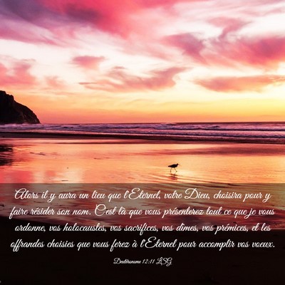 Picture 03 - Deutéronome 12:11 LSG - Alors il y aura un lieu que l'Eternel, votre - Bible Verse Picture