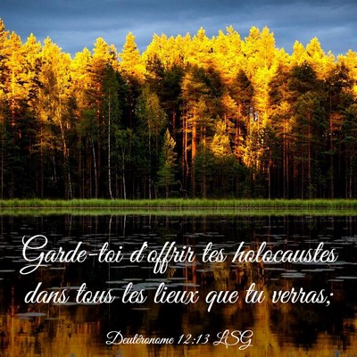 Picture 03 - Deutéronome 12:13 LSG - Garde-toi d'offrir tes holocaustes dans tous les - Bible Verse Picture