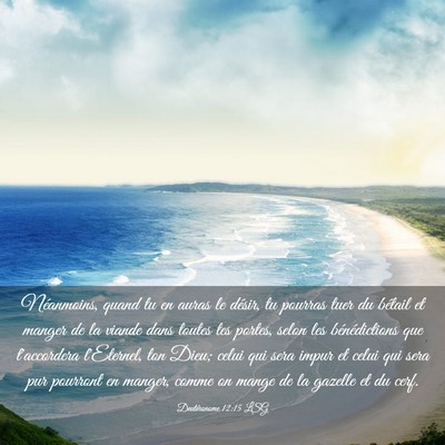Picture 03 - Deutéronome 12:15 LSG - Néanmoins, quand tu en auras le désir, tu - Bible Verse Picture