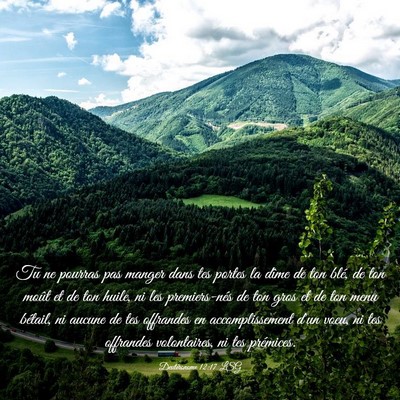 Picture 03 - Deutéronome 12:17 LSG - Tu ne pourras pas manger dans tes portes la dîme - Bible Verse Picture