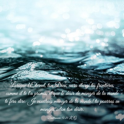 Picture 03 - Deutéronome 12:20 LSG - Lorsque l'Eternel, ton Dieu, aura élargi tes - Bible Verse Picture