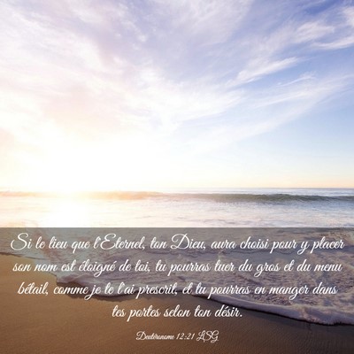 Picture 03 - Deutéronome 12:21 LSG - Si le lieu que l'Eternel, ton Dieu, aura choisi - Bible Verse Picture