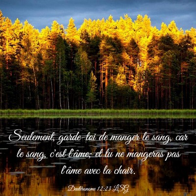 Picture 03 - Deutéronome 12:23 LSG - Seulement, garde-toi de manger le sang, car le - Bible Verse Picture