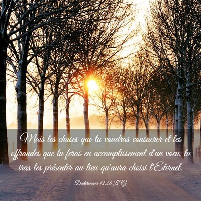 Picture 03 - Deutéronome 12:26 LSG - Mais les choses que tu voudras consacrer et les - Bible Verse Picture
