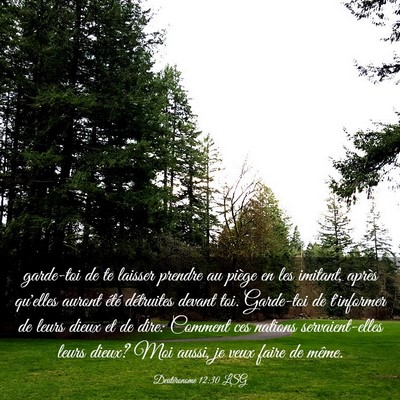 Picture 03 - Deutéronome 12:30 LSG - garde-toi de te laisser prendre au piège en les - Bible Verse Picture