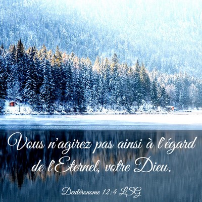 Picture 03 - Deutéronome 12:4 LSG - Vous n'agirez pas ainsi à l'égard de l'Eternel, - Bible Verse Picture