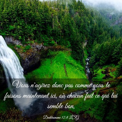 Picture 03 - Deutéronome 12:8 LSG - Vous n'agirez donc pas comme nous le faisons - Bible Verse Picture