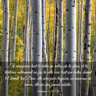 Picture 03 - Deutéronome 13:16 LSG - Tu amasseras tout le butin au milieu de la place, - Bible Verse Picture