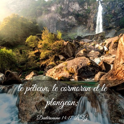 Picture 03 - Deutéronome 14:17 LSG - le pélican, le cormoran et le - Bible Verse Picture