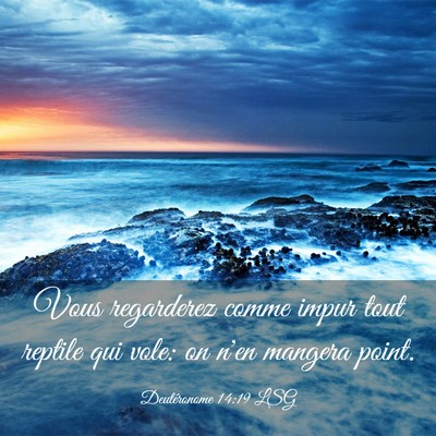 Picture 03 - Deutéronome 14:19 LSG - Vous regarderez comme impur tout reptile qui - Bible Verse Picture