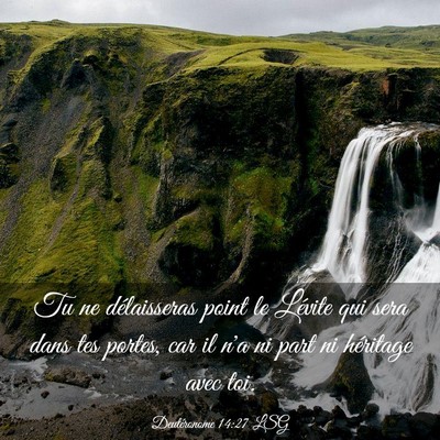 Picture 03 - Deutéronome 14:27 LSG - Tu ne délaisseras point le Lévite qui sera dans - Bible Verse Picture