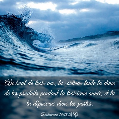 Picture 03 - Deutéronome 14:28 LSG - Au bout de trois ans, tu sortiras toute la dîme - Bible Verse Picture
