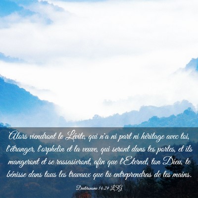 Picture 03 - Deutéronome 14:29 LSG - Alors viendront le Lévite, qui n'a ni part ni - Bible Verse Picture