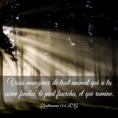 Picture 03 - Deutéronome 14:6 LSG - Vous mangerez de tout animal qui a la corne - Bible Verse Picture