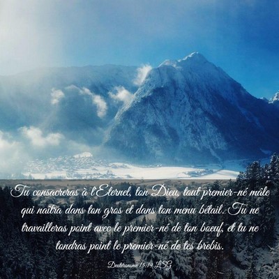 Picture 03 - Deutéronome 15:19 LSG - Tu consacreras à l'Eternel, ton Dieu, tout - Bible Verse Picture