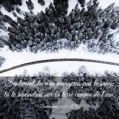 Picture 03 - Deutéronome 15:23 LSG - Seulement, tu n'en mangeras pas le sang; tu le - Bible Verse Picture
