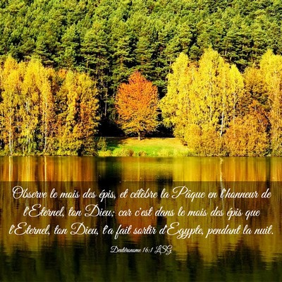 Picture 03 - Deutéronome 16:1 LSG - Observe le mois des épis, et célèbre la Pâque - Bible Verse Picture