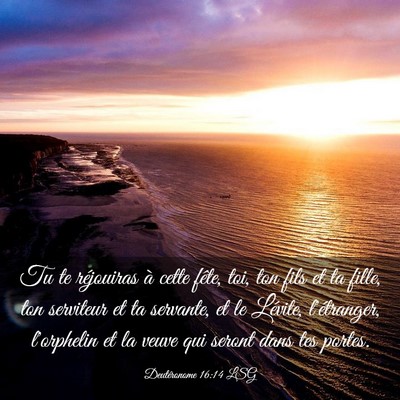 Picture 03 - Deutéronome 16:14 LSG - Tu te réjouiras à cette fête, toi, ton fils et - Bible Verse Picture