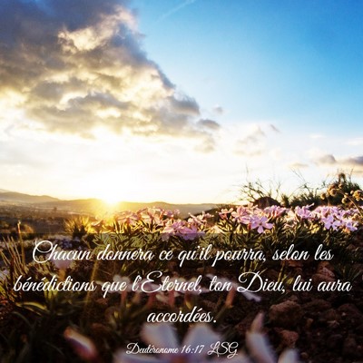 Picture 03 - Deutéronome 16:17 LSG - Chacun donnera ce qu'il pourra, selon les - Bible Verse Picture