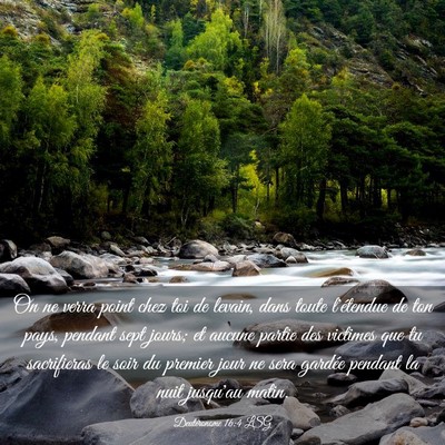 Picture 03 - Deutéronome 16:4 LSG - On ne verra point chez toi de levain, dans toute - Bible Verse Picture