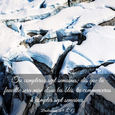 Picture 03 - Deutéronome 16:9 LSG - Tu compteras sept semaines; dès que la faucille - Bible Verse Picture