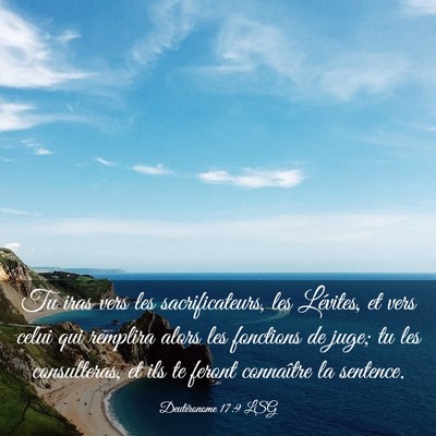 Picture 03 - Deutéronome 17:9 LSG - Tu iras vers les sacrificateurs, les Lévites, et - Bible Verse Picture