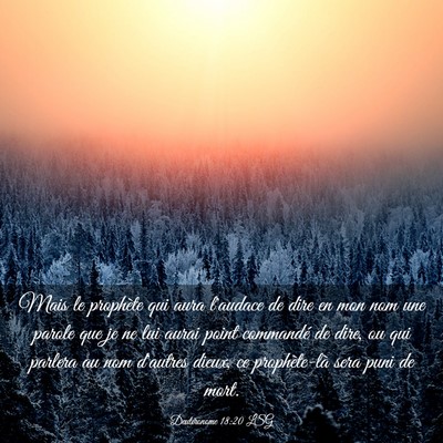 Picture 03 - Deutéronome 18:20 LSG - Mais le prophète qui aura l'audace de dire en - Bible Verse Picture