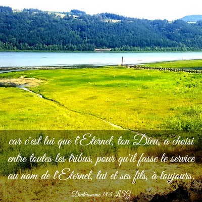 Picture 03 - Deutéronome 18:5 LSG - car c'est lui que l'Eternel, ton Dieu, a choisi - Bible Verse Picture