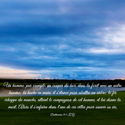 Picture 03 - Deutéronome 19:5 LSG - Un homme, par exemple, va couper du bois dans la - Bible Verse Picture