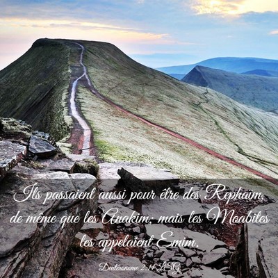 Picture 03 - Deutéronome 2:11 LSG - Ils passaient aussi pour être des Rephaïm, de - Bible Verse Picture