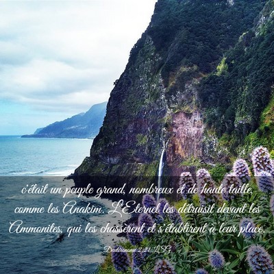 Picture 03 - Deutéronome 2:21 LSG - c'était un peuple grand, nombreux et de haute - Bible Verse Picture