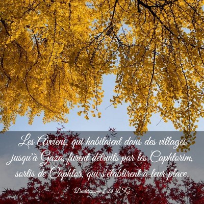Picture 03 - Deutéronome 2:23 LSG - Les Avviens, qui habitaient dans des villages - Bible Verse Picture