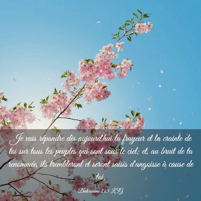 Picture 03 - Deutéronome 2:25 LSG - Je vais répandre dès aujourd'hui la frayeur et - Bible Verse Picture