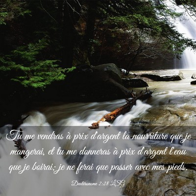 Picture 03 - Deutéronome 2:28 LSG - Tu me vendras à prix d'argent la nourriture que - Bible Verse Picture
