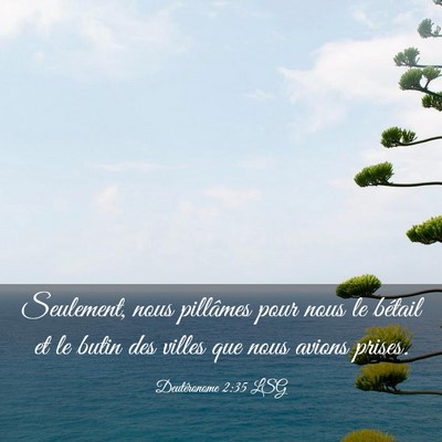 Picture 03 - Deutéronome 2:35 LSG - Seulement, nous pillâmes pour nous le bétail et - Bible Verse Picture
