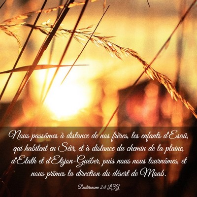 Picture 03 - Deutéronome 2:8 LSG - Nous passâmes à distance de nos frères, les - Bible Verse Picture