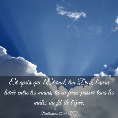 Picture 03 - Deutéronome 20:13 LSG - Et après que l'Eternel, ton Dieu, l'aura livrée - Bible Verse Picture