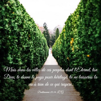 Picture 03 - Deutéronome 20:16 LSG - Mais dans les villes de ces peuples dont - Bible Verse Picture