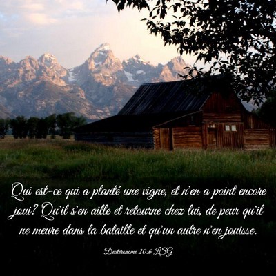 Picture 03 - Deutéronome 20:6 LSG - Qui est-ce qui a planté une vigne, et n'en a - Bible Verse Picture