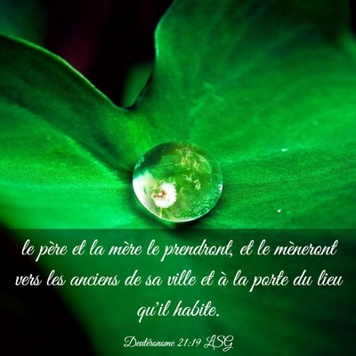 Picture 03 - Deutéronome 21:19 LSG - le père et la mère le prendront, et le - Bible Verse Picture