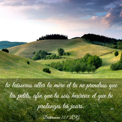 Picture 03 - Deutéronome 22:7 LSG - tu laisseras aller la mère et tu ne prendras que - Bible Verse Picture